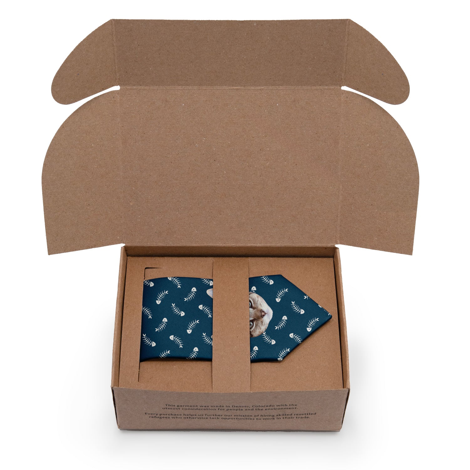 Fish Bone Photo Tie - Packaging - Knotty Tie Co.