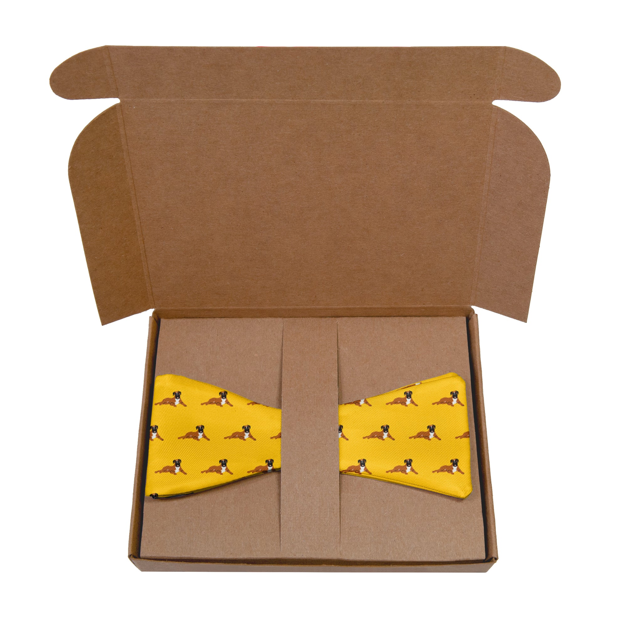 Self tie bow tie packaged in gifting box