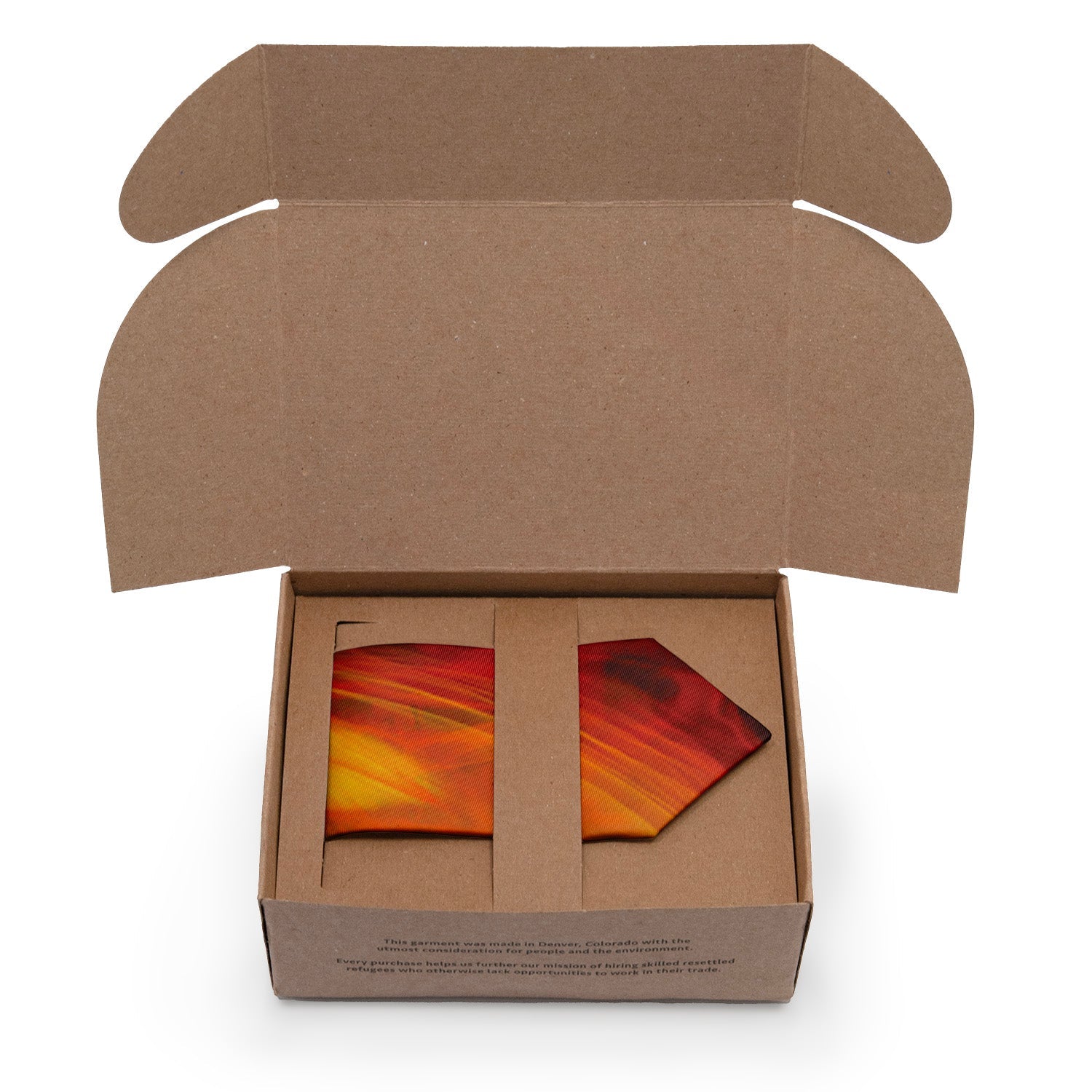 Neutron Necktie - Packaging - Knotty Tie Co.