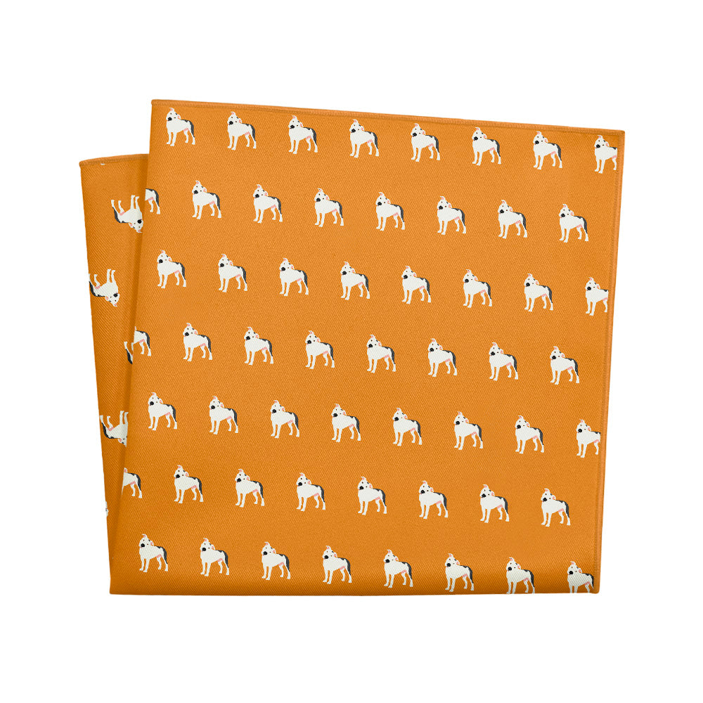Pitbull Pocket Square - 12" Square - Knotty Tie Co.