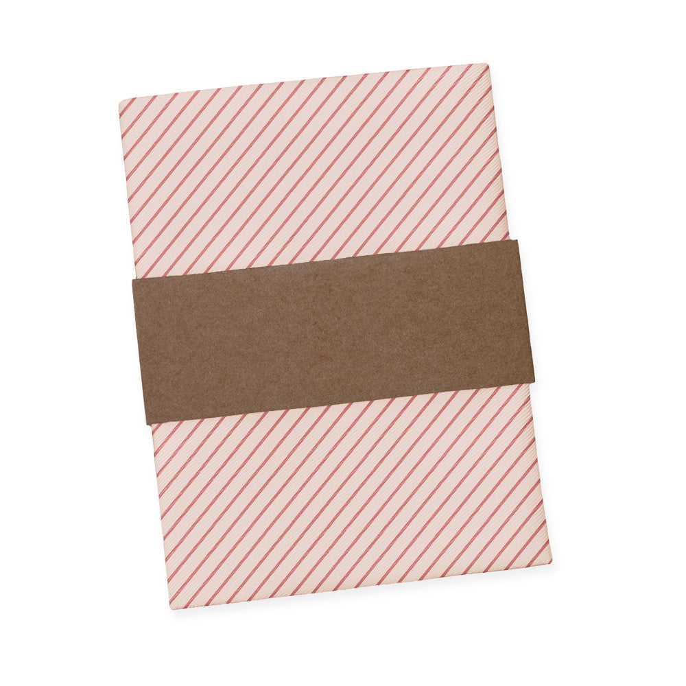 Repp Stripe Pocket Square - Packaging - Knotty Tie Co.