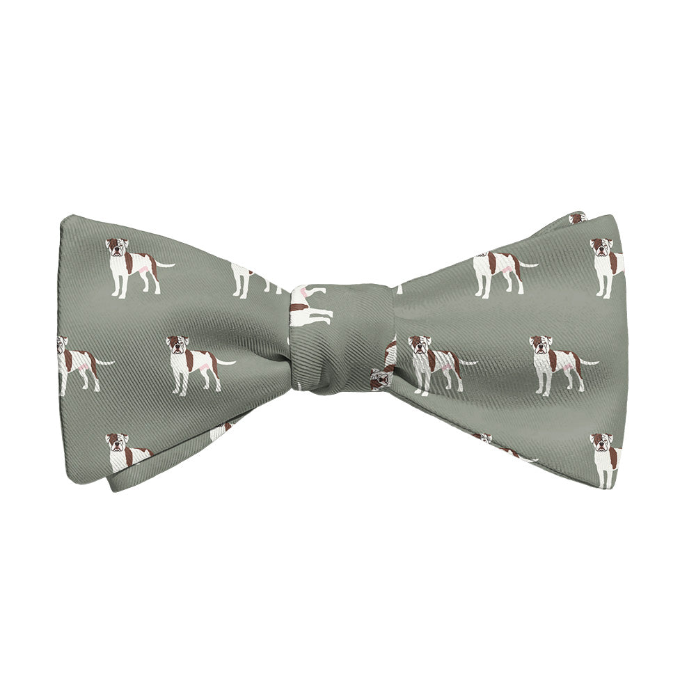 American Bulldog Bow Tie - Adult Standard Self-Tie 14-18" -  - Knotty Tie Co.