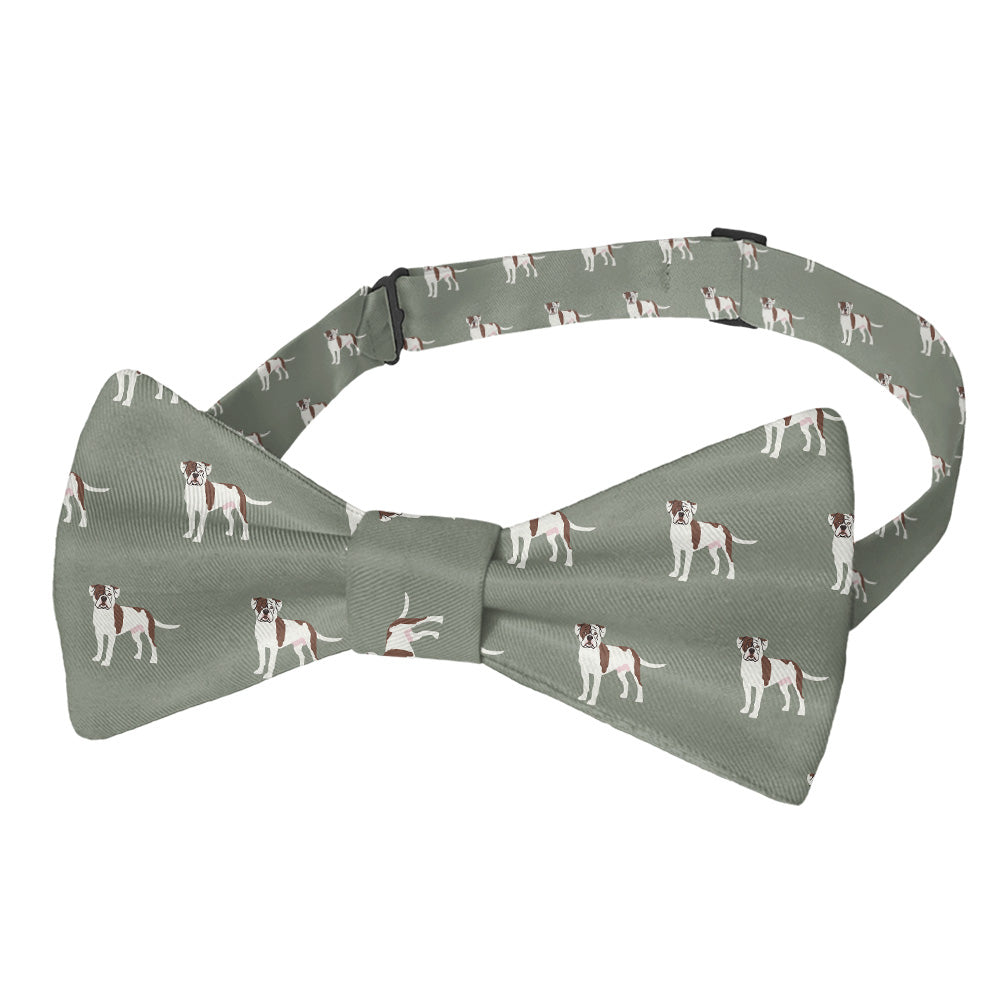 American Bulldog Bow Tie - Pre-Tied Bow Tie - Knotty Tie Co.