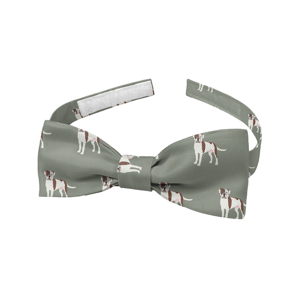 American Bulldog Bow Tie - Baby Bow Tie - Knotty Tie Co.