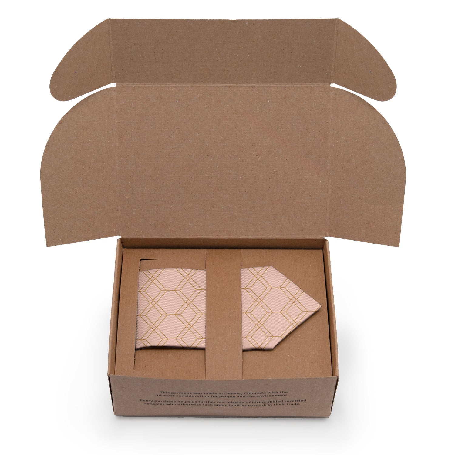 Arcadia Geometric Necktie - Packaging - Knotty Tie Co.