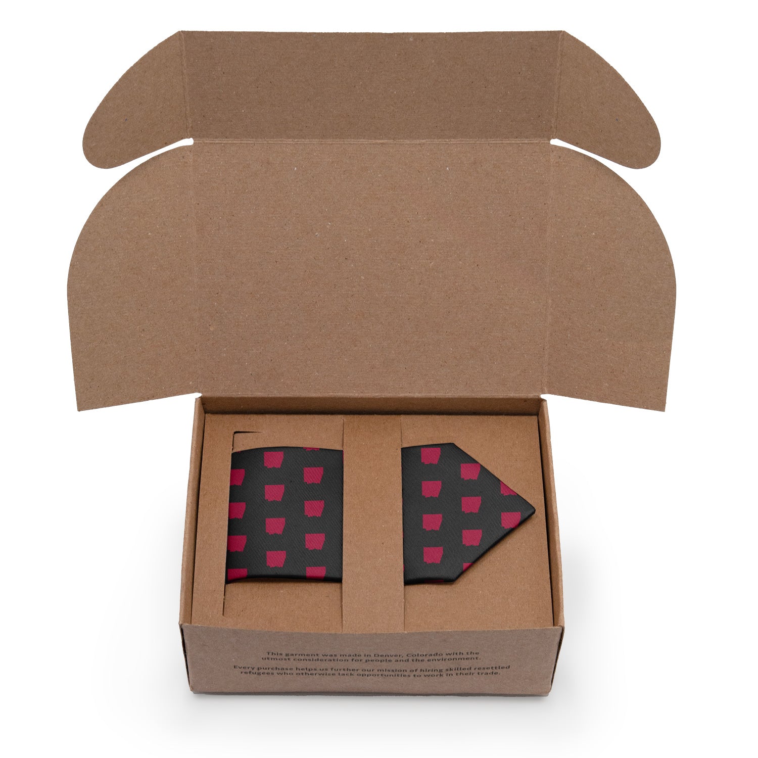 Arizona State Outline Necktie - Packaging - Knotty Tie Co.