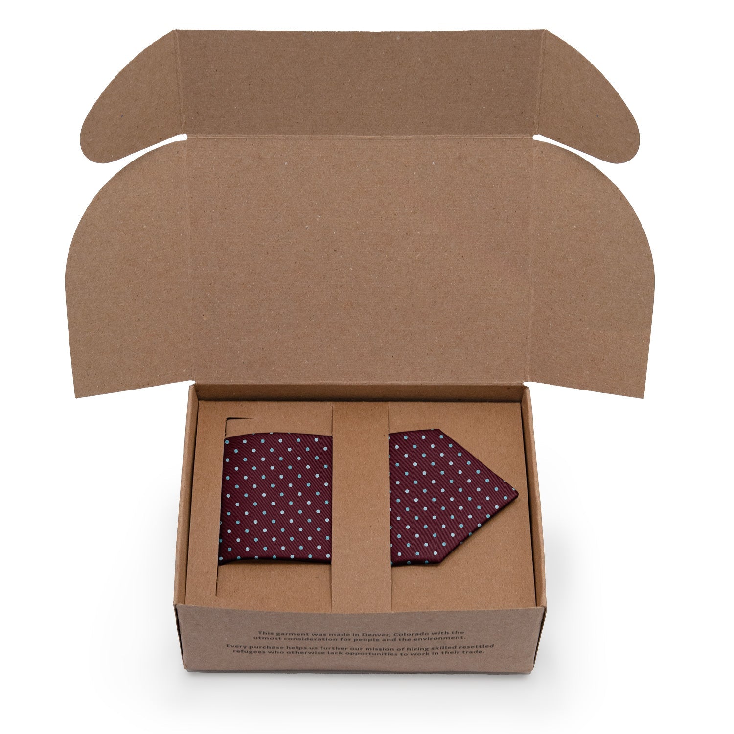 Aurora Dots Necktie - Packaging - Knotty Tie Co.
