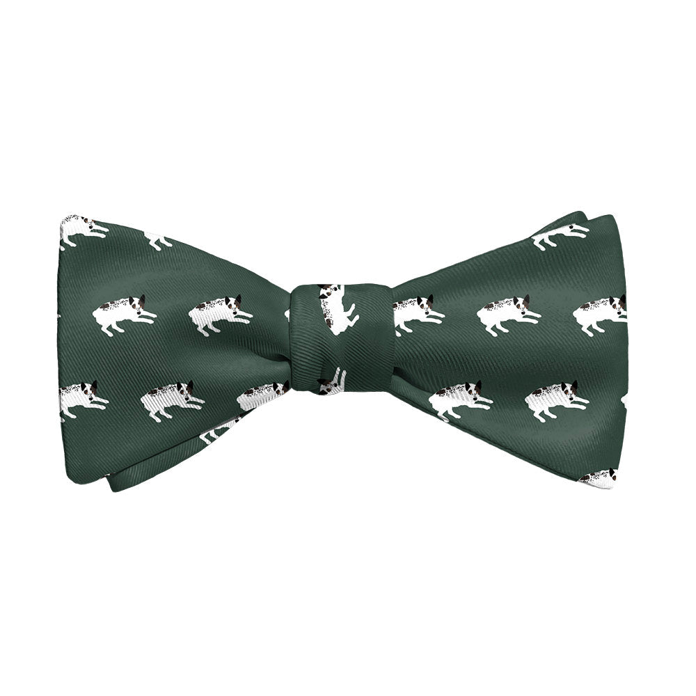 Australian Cattle Dog Bow Tie - Adult Standard Self-Tie 14-18" -  - Knotty Tie Co.