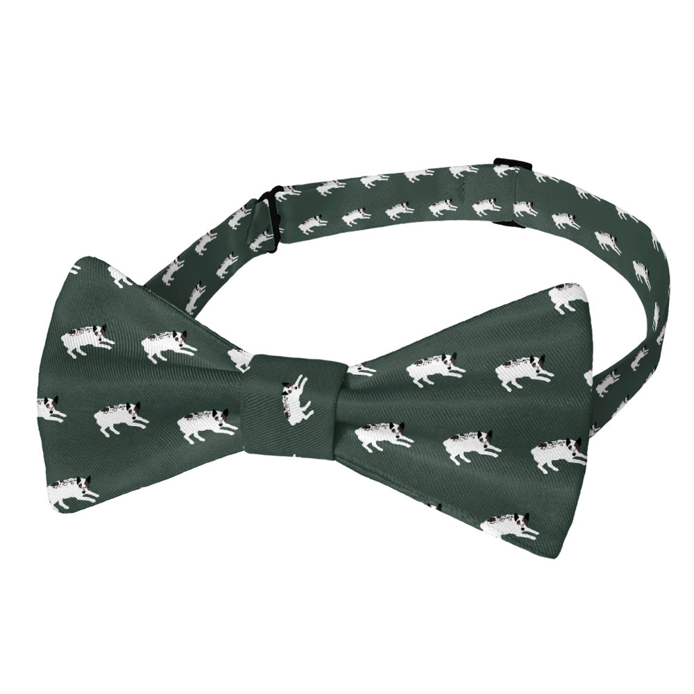 Australian Cattle Dog Bow Tie - Adult Pre-Tied 12-22" -  - Knotty Tie Co.