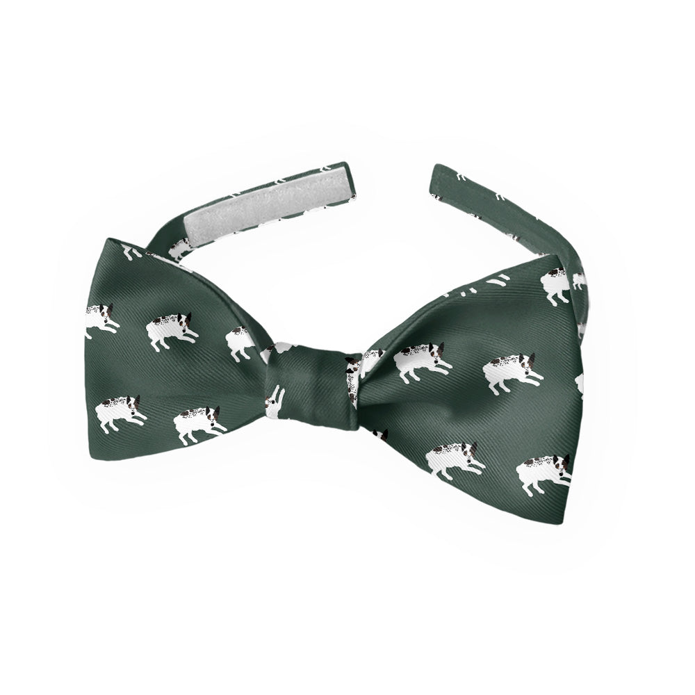 Australian Cattle Dog Bow Tie - Kids Bow TIe - Knotty Tie Co.