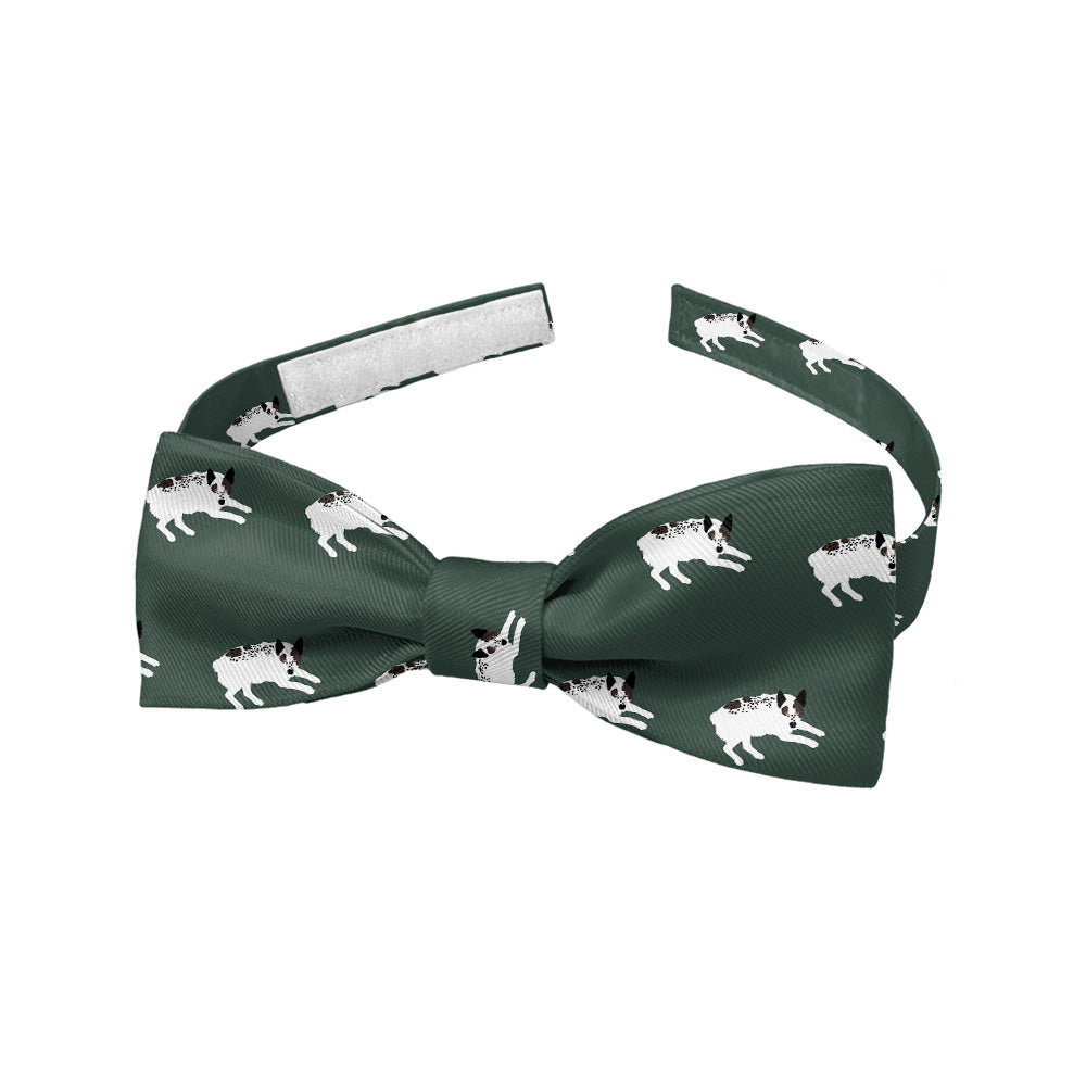 Australian Cattle Dog Bow Tie - Baby Bow Tie - Knotty Tie Co.