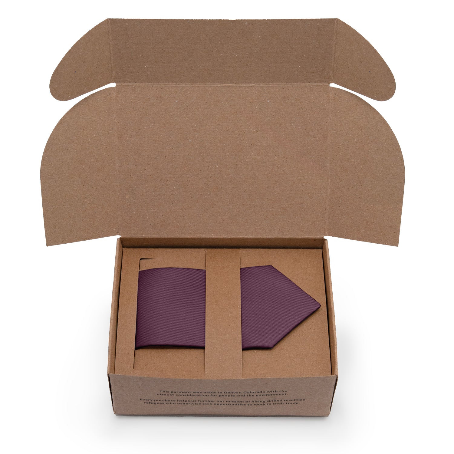 Azazie Acai Necktie - Packaging - Knotty Tie Co.