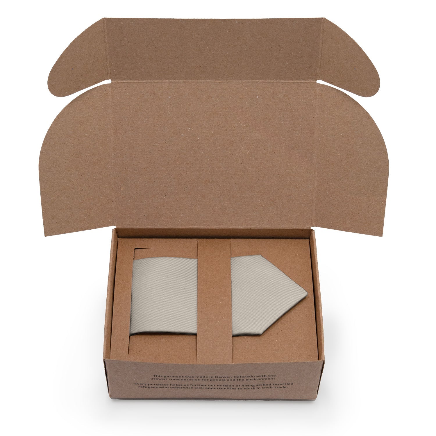 Azazie Frost Necktie - Packaging - Knotty Tie Co.