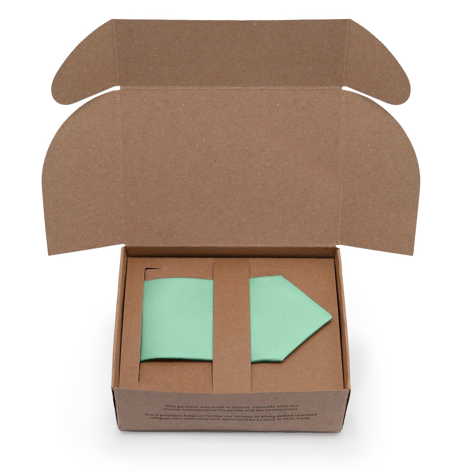 Azazie Malibu Necktie - Packaging - Knotty Tie Co.