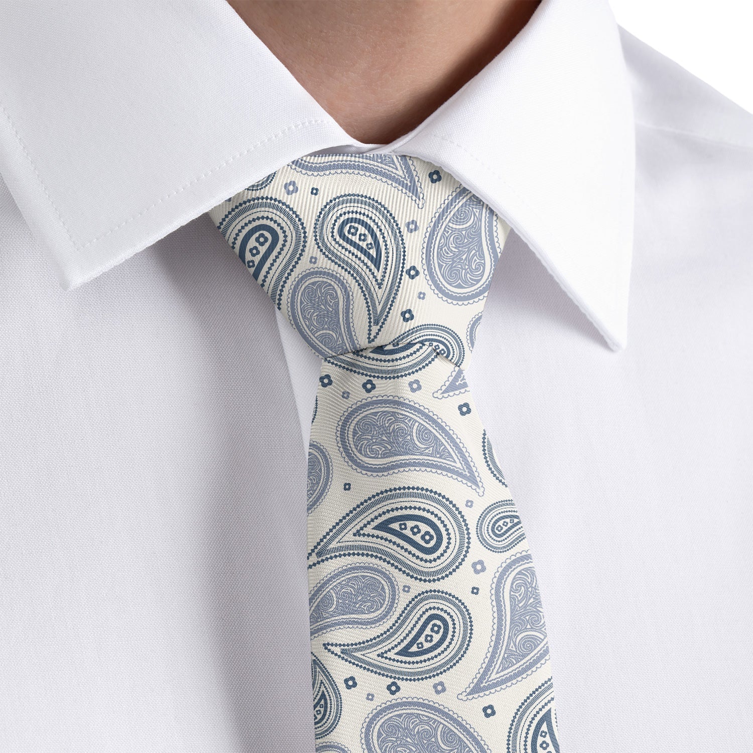 Bandana Paisley Necktie - Dress Shirt - Knotty Tie Co.