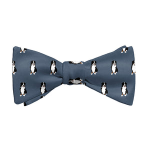 Bernese Mountain Dog Bow Tie - Adult Standard Self-Tie 14-18" -  - Knotty Tie Co.