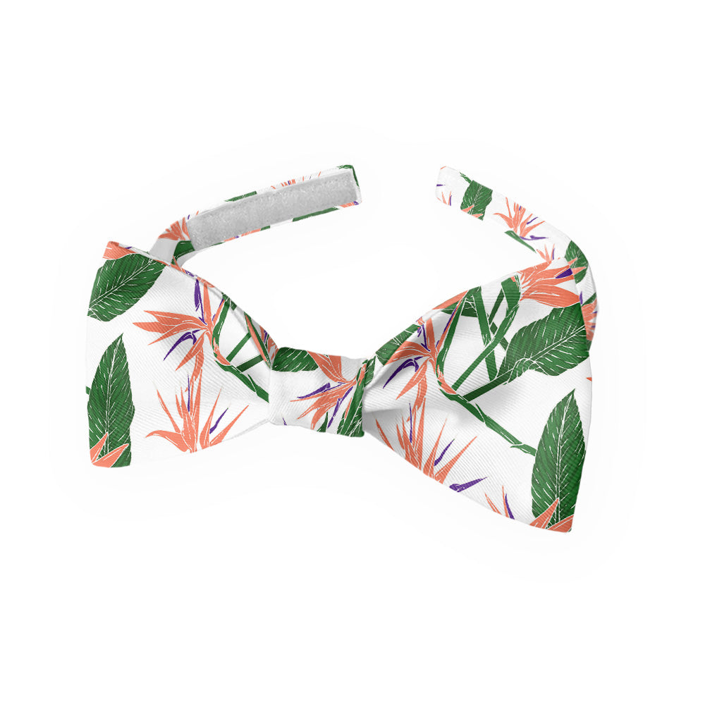 Bird of Paradise Bow Tie - Kids Bow TIe - Knotty Tie Co.