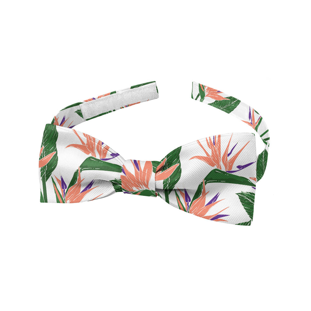 Bird of Paradise Bow Tie - Baby Bow Tie - Knotty Tie Co.