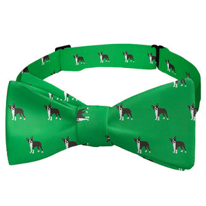 Boston Terrier Bow Tie - Self Tie Bow Tie - Knotty Tie Co.