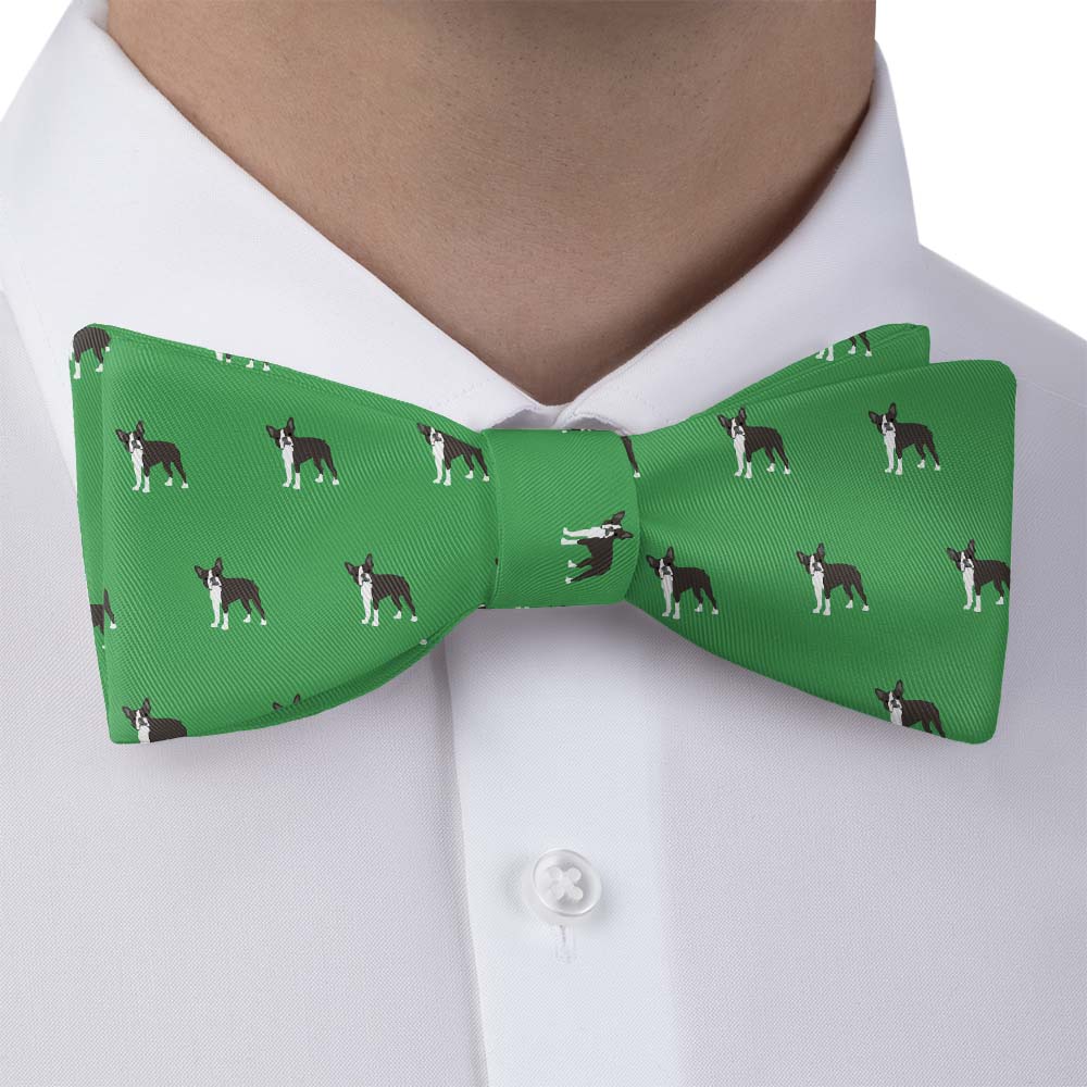 Boston Terrier Bow Tie - Bow Tie with Dress Shirt - Knotty Tie Co.