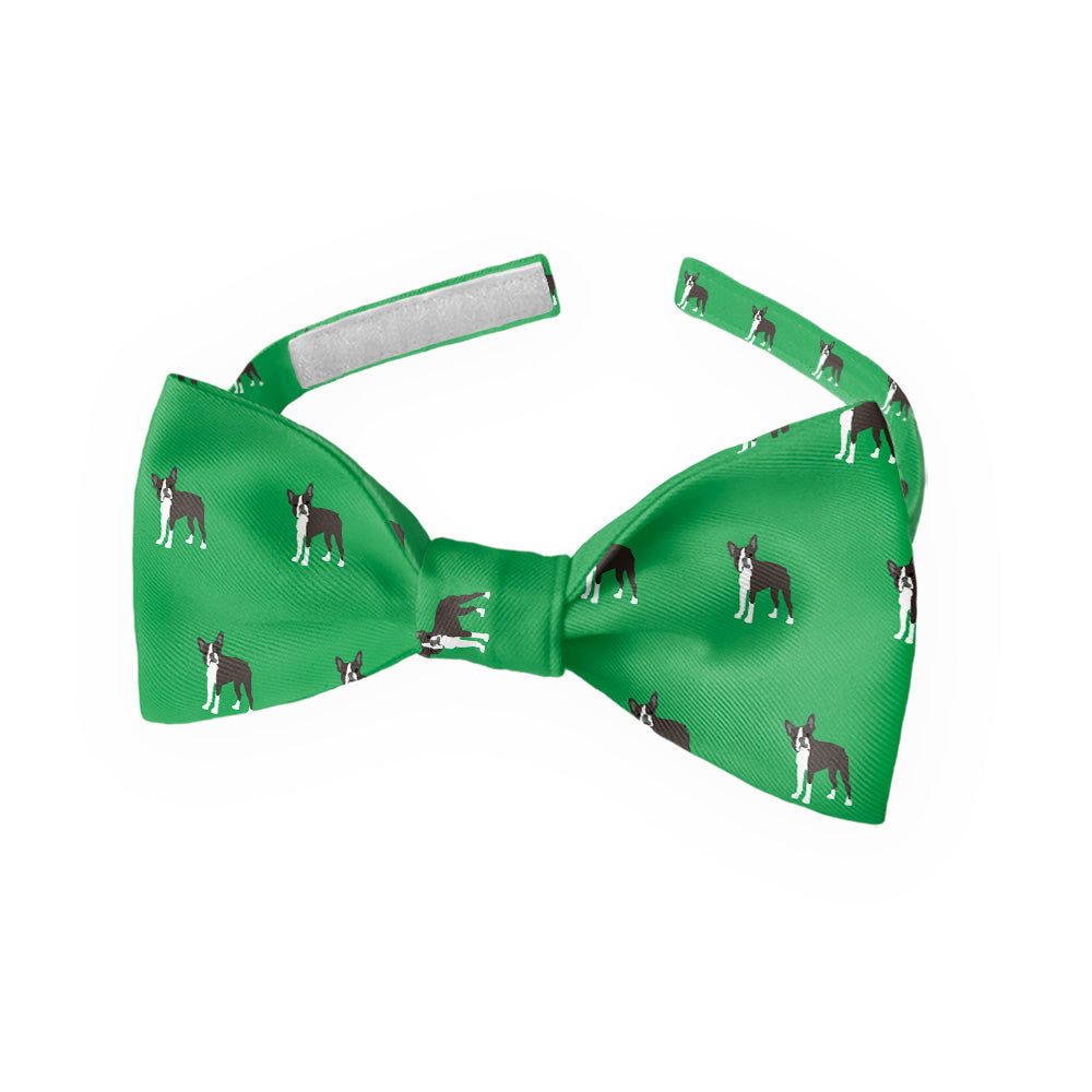 Boston Terrier Bow Tie - Kids Bow TIe - Knotty Tie Co.