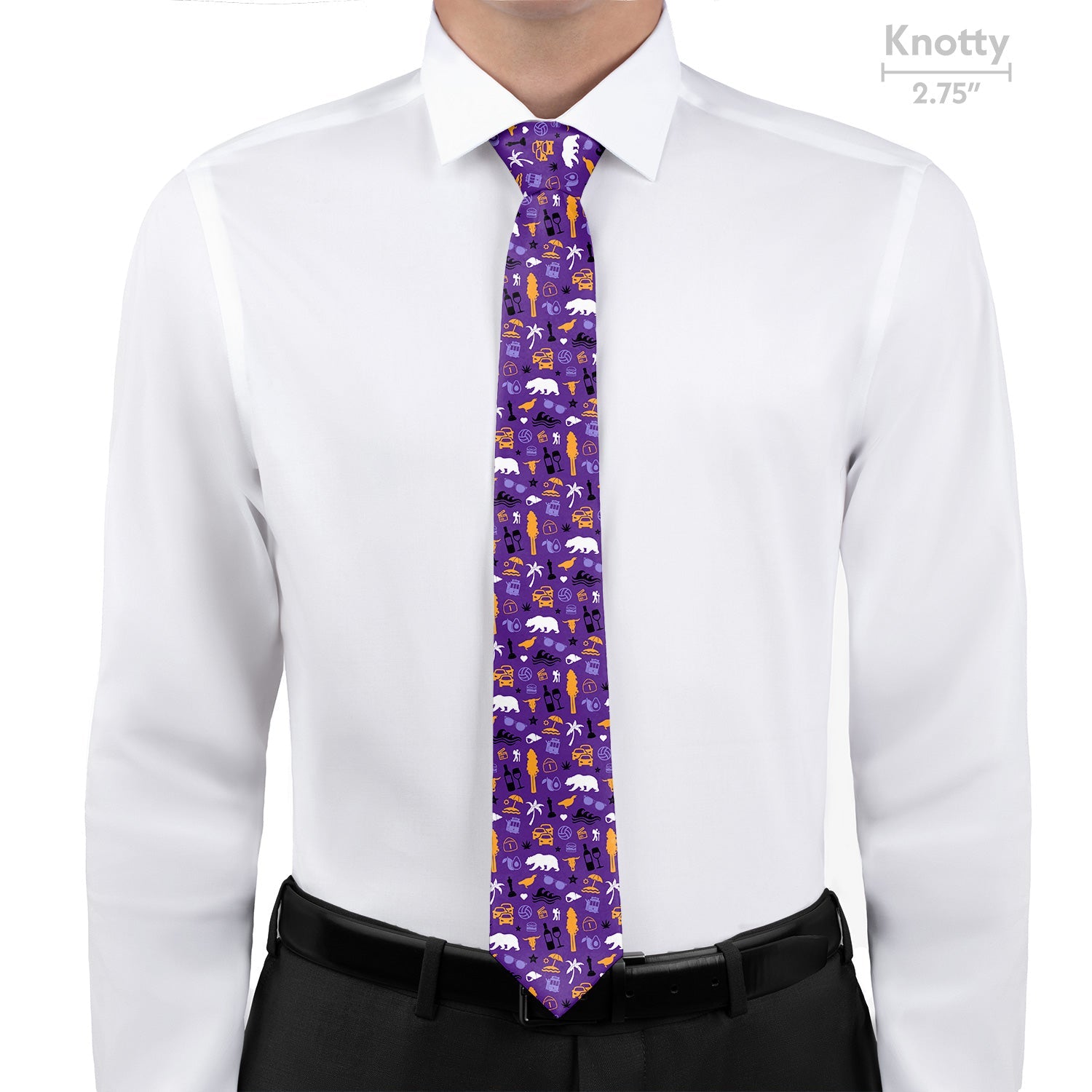 California State Heritage Necktie - Knotty - Knotty Tie Co.