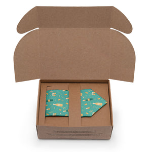Champagne Necktie - Packaging - Knotty Tie Co.