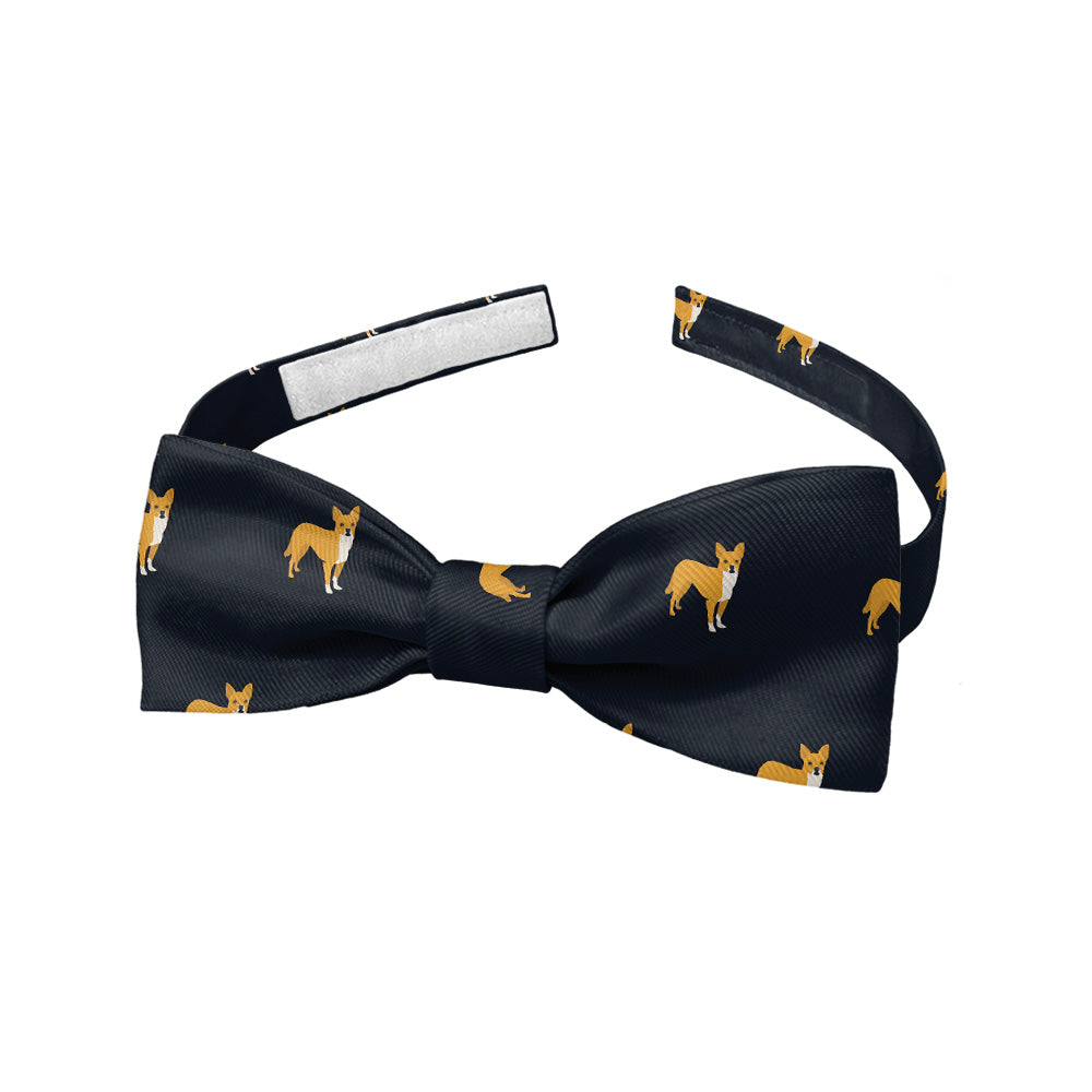 Chihuahua Bow Tie - Baby Pre-Tied 9.5-12.5" -  - Knotty Tie Co.