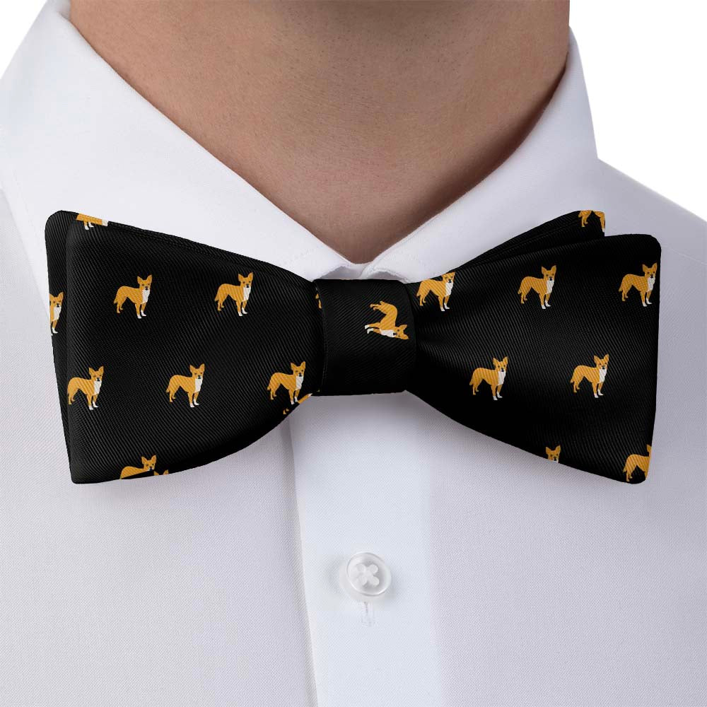 Chihuahua Bow Tie - Bow Tie with Dress Shirt - Knotty Tie Co.