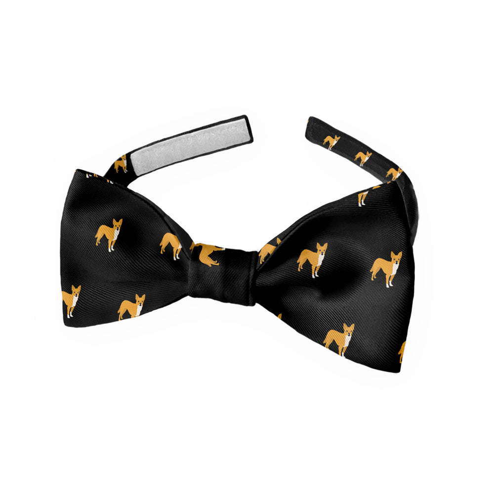 Chihuahua Bow Tie - Kids Bow TIe - Knotty Tie Co.