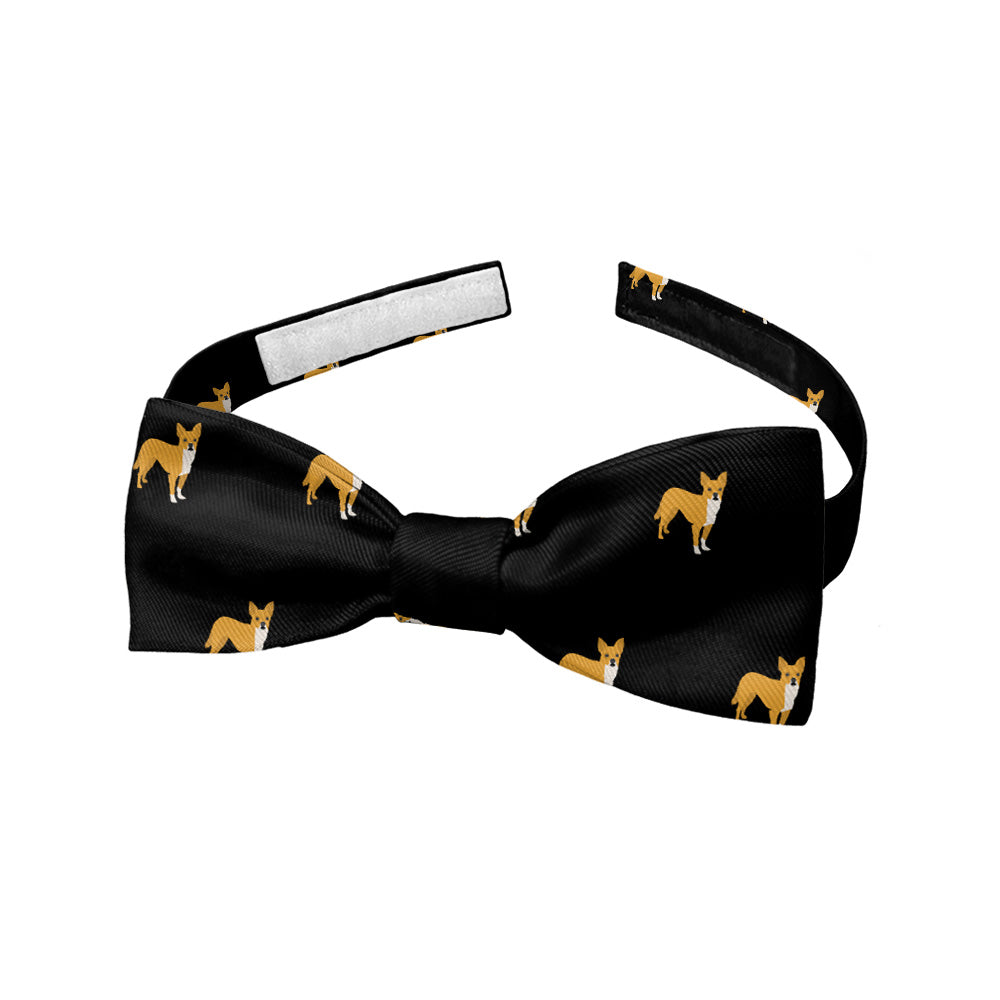 Chihuahua Bow Tie - Baby Bow Tie - Knotty Tie Co.
