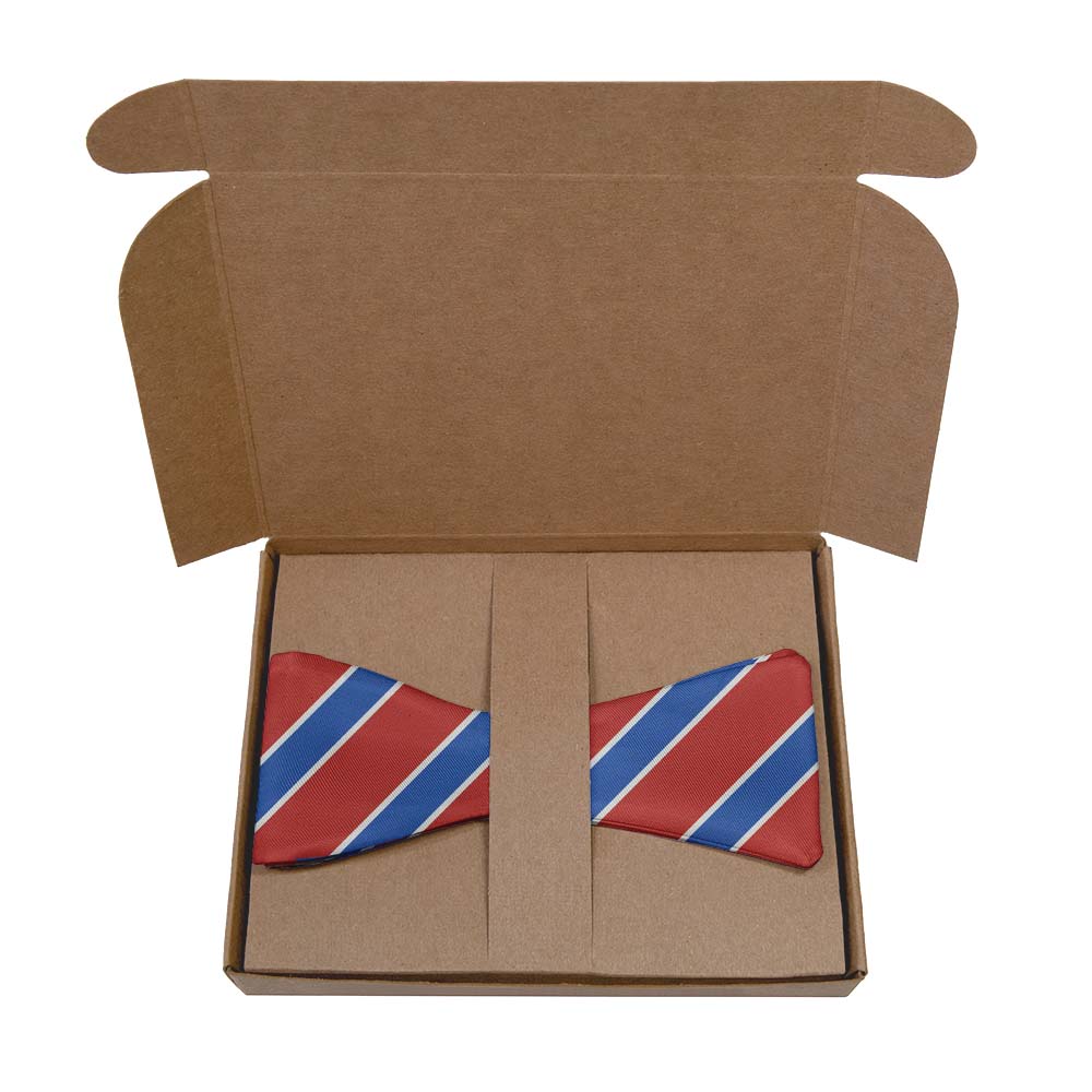 Clarkson Stripe Bow Tie- Kraft Gift Box Packaging - Knotty Tie Co.