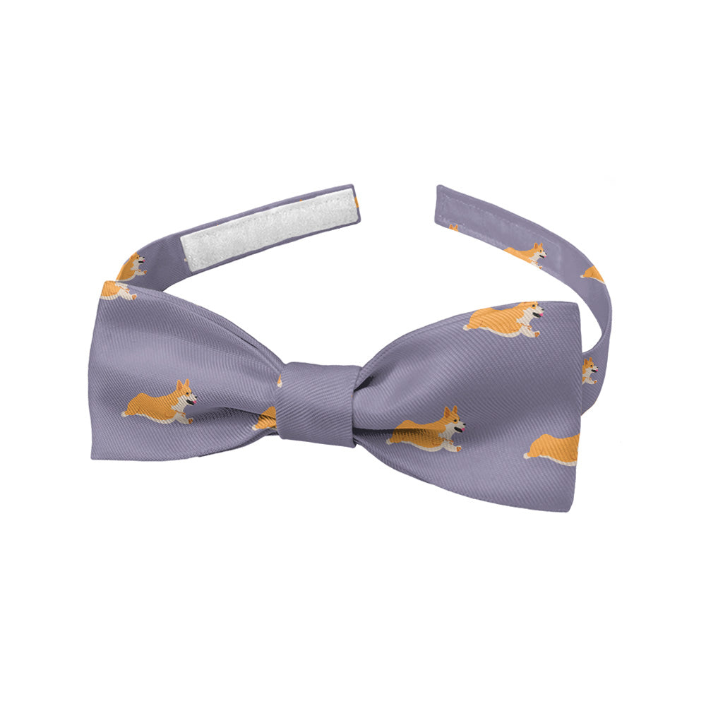 Corgi Bow Tie - Baby Bow Tie - Knotty Tie Co.
