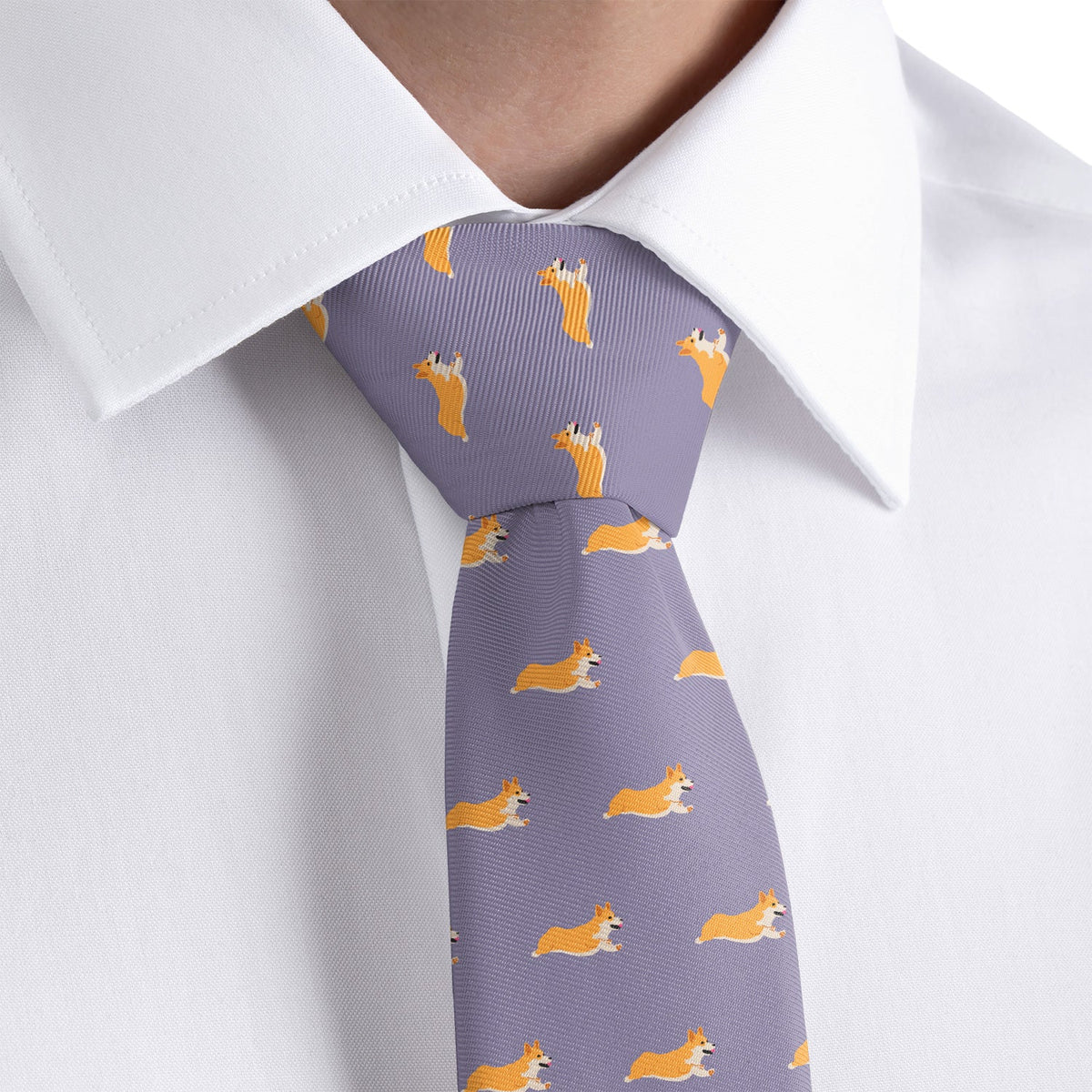 corgi necktie