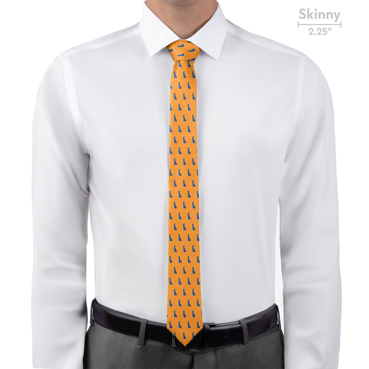 Delaware State Outline Necktie - Skinny - Knotty Tie Co.