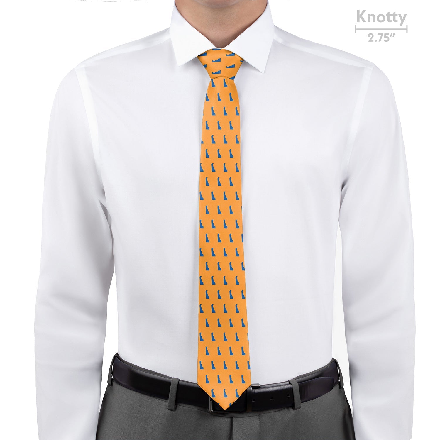 Delaware State Outline Necktie - Knotty - Knotty Tie Co.