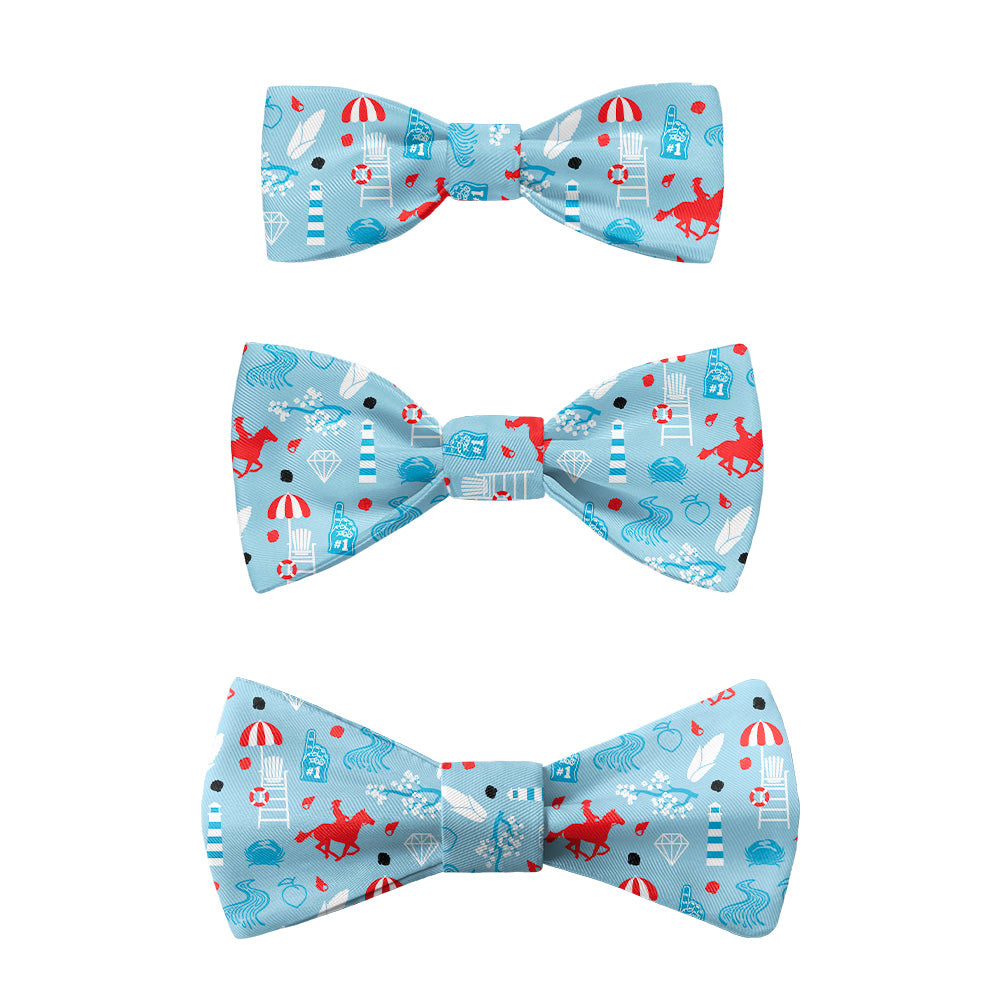 Delaware State Heritage Bow Tie -  -  - Knotty Tie Co.