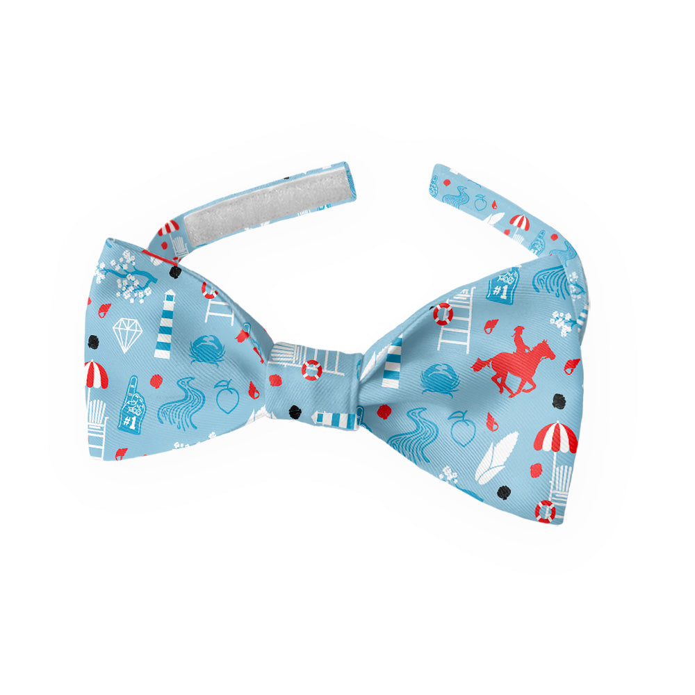 Delaware State Heritage Bow Tie - Kids Bow TIe - Knotty Tie Co.