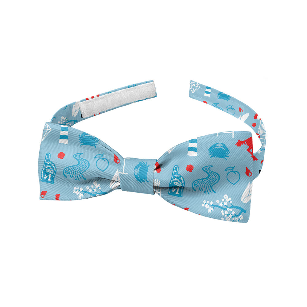 Delaware State Heritage Bow Tie - Baby Bow Tie - Knotty Tie Co.
