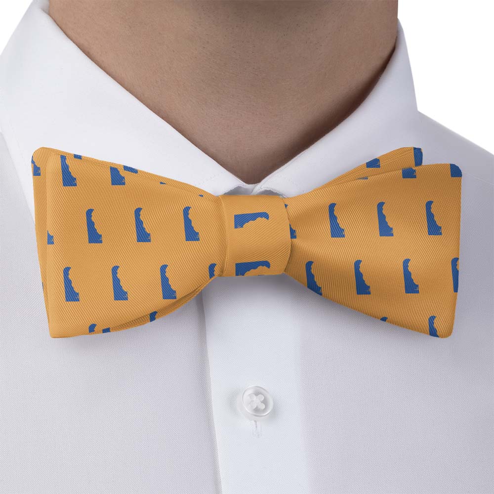 Delaware State Outline Bow Tie - Bow Tie with Dress Shirt - Knotty Tie Co.