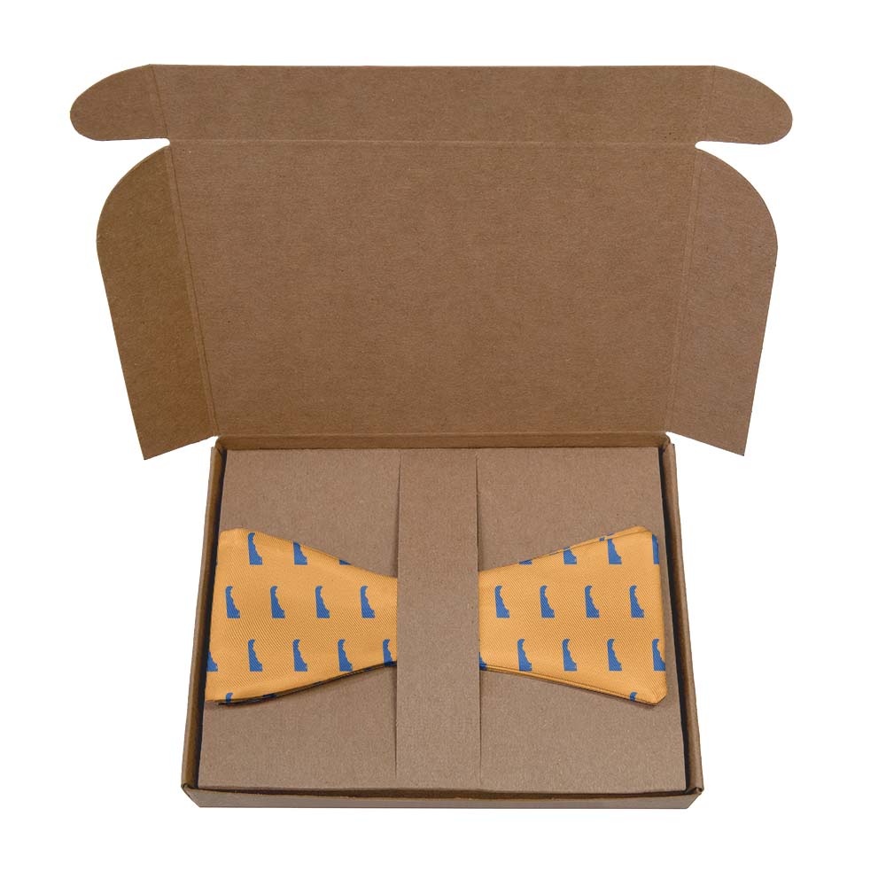 Delaware State Outline Bow Tie- Kraft Gift Box Packaging - Knotty Tie Co.