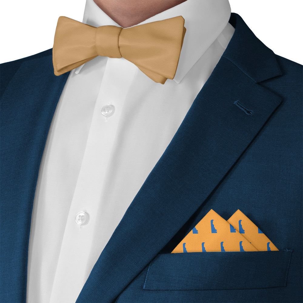 Delaware State Outline Pocket Square - Matching Bow Tie - Knotty Tie Co.