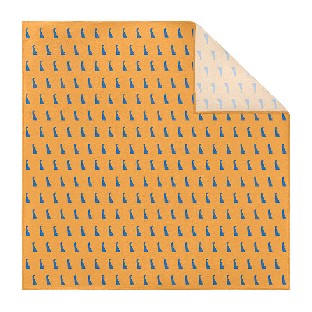 Delaware State Outline Pocket Square - Printed - Knotty Tie Co.
