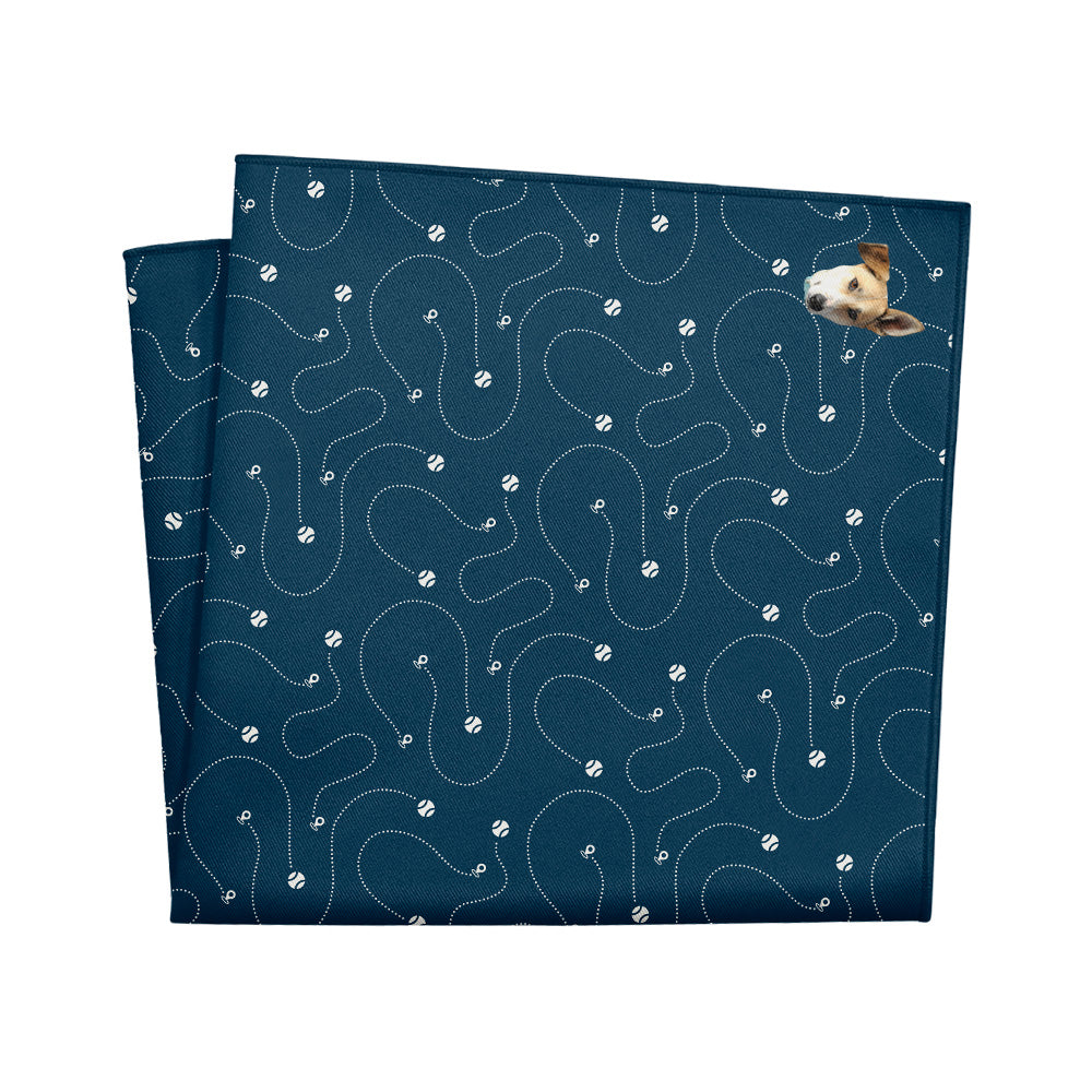 Fetch Photo Pocket Square - 12" Square - Knotty Tie Co.