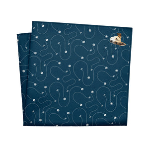 Fetch Photo Pocket Square - 12" Square - Knotty Tie Co.
