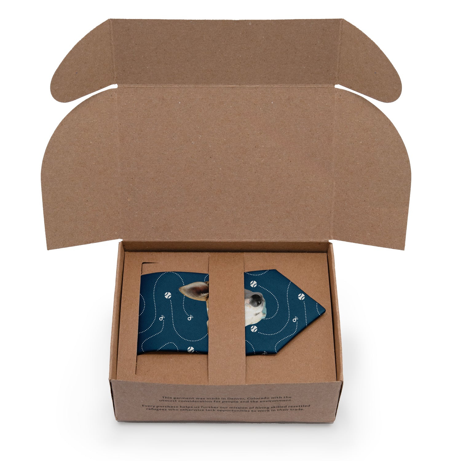 Fetch Photo Tie - Packaging - Knotty Tie Co.