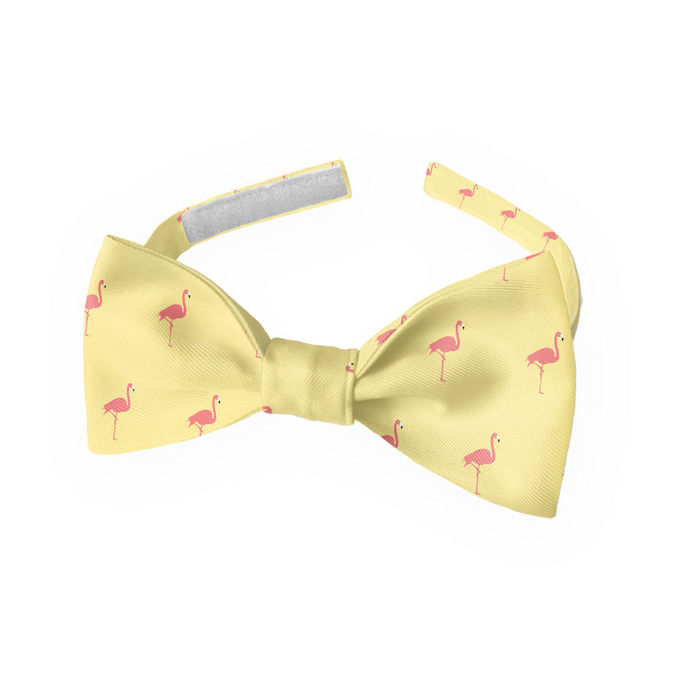 Flamingos Bow Tie - Kids Bow TIe - Knotty Tie Co.