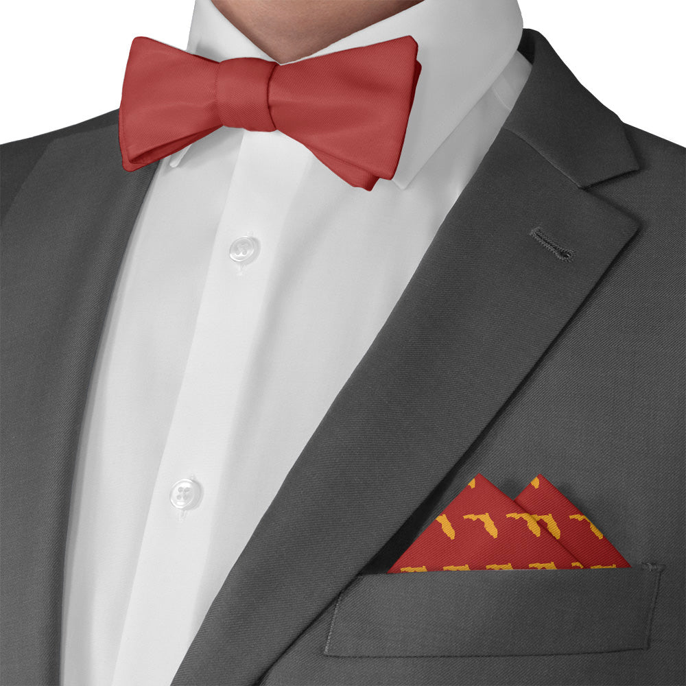 Florida State Outline Pocket Square - Matching Bow Tie - Knotty Tie Co.