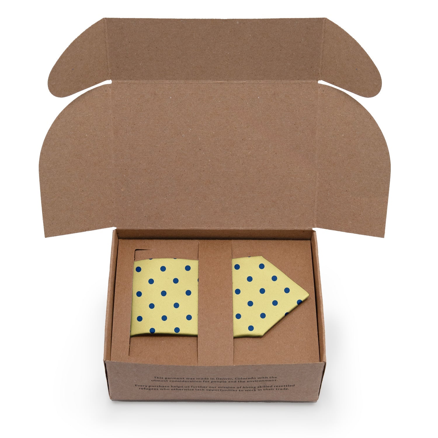 Franklin Dots Necktie - Packaging - Knotty Tie Co.