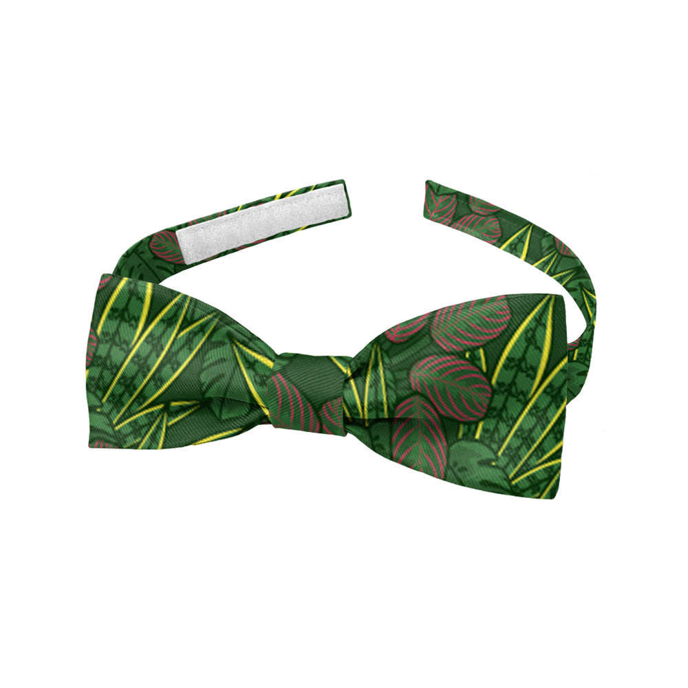 Green houseplant baby bow tie with leaf pattern on a white background